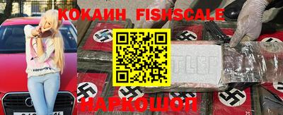 крисы Кунгур