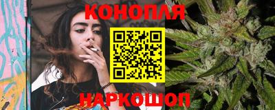 крисы Кунгур