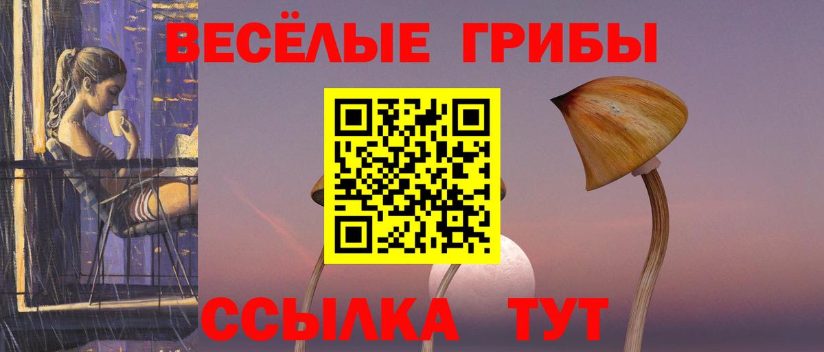 Жигулёвск  Галлюциногенные грибы ЛСД  где можно купить   Вход с VPN 